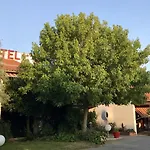 Hotel-restaurant La Belle Poule - Hotel